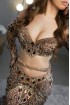 Professional bellydance costume (Classic 312A_1)